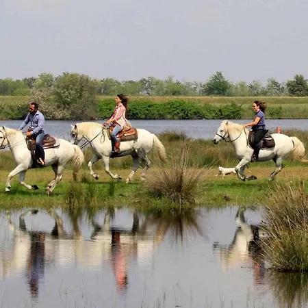 Alfiere Del Mare Nyaraló Lido degli Scacchi