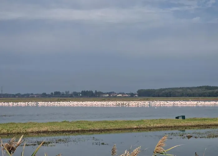 Holiday home Alfiere Del Mare *