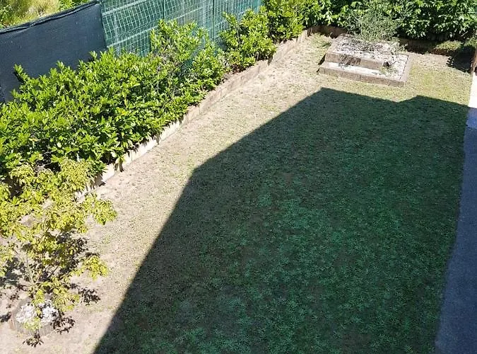 Alfiere Del Mare * Lido degli Scacchi