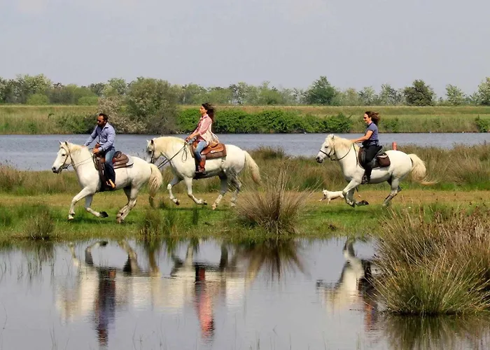 Alfiere Del Mare بيت للعطل Lido degli Scacchi